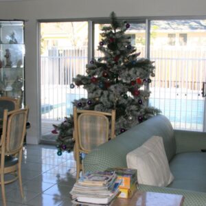 adriana-elderly-care-home-ii-3-living-room.jpg
