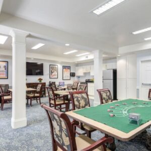 aegis-of-laguna-niguel-8-activity-room.jpg