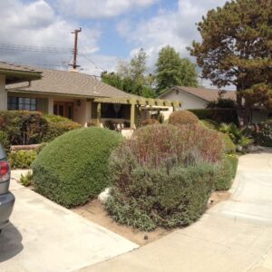 ainas-guest-homes-front-view-2.jpg