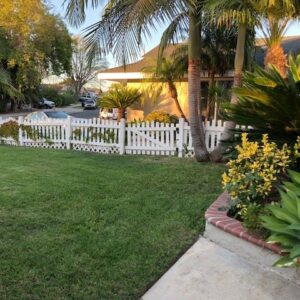 ankerton-suite-back-yard-2.jpg