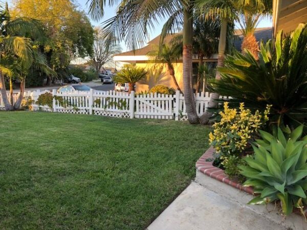 ankerton-suite-back-yard-2.jpg