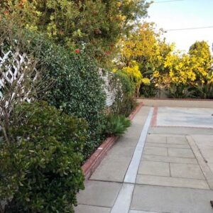 ankerton-suite-back-yard.jpg