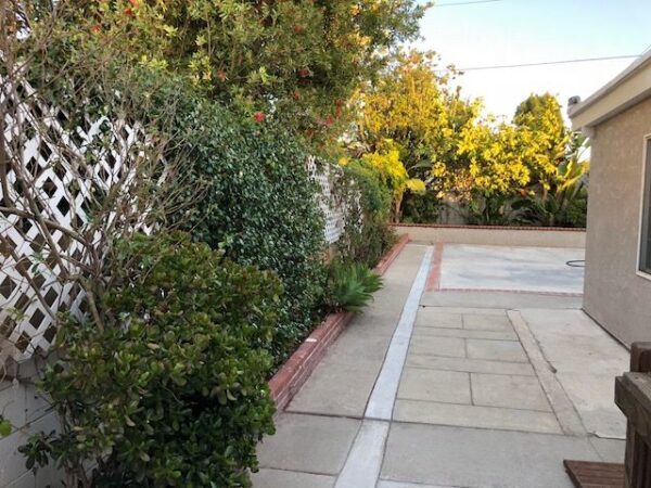 ankerton-suite-back-yard.jpg