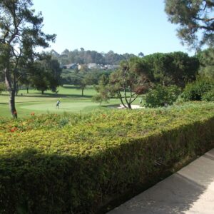 arbor-on-the-green-golf-course-view.jpg