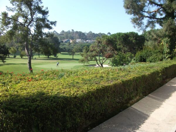 arbor-on-the-green-golf-course-view.jpg