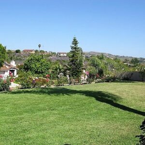 avondale-family-care-home-ii-yard-2.jpg