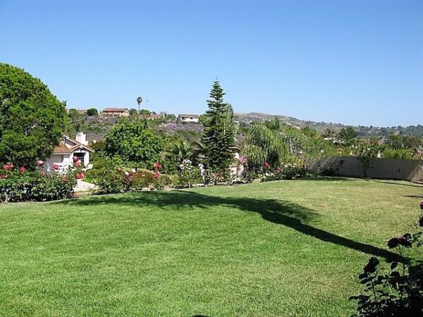 avondale-family-care-home-ii-yard-2.jpg