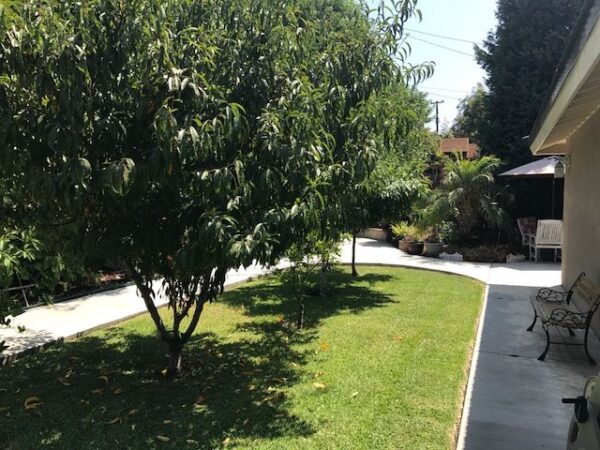 basia-residential-care-llc-yard-2.jpg