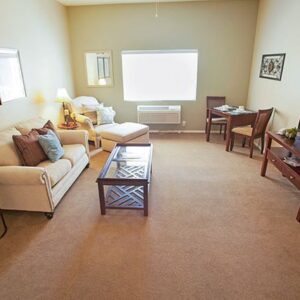 brookdale-brea-5-apartment-2.jpg