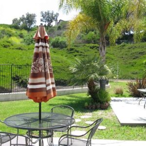 camino-hills-of-san-clemente-6-yard.jpg