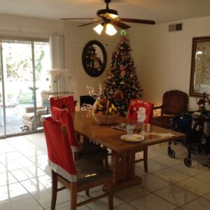 care-ayesha-3-dining-room.jpg