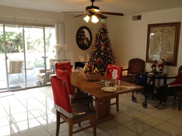 care-ayesha-3-dining-room.jpg