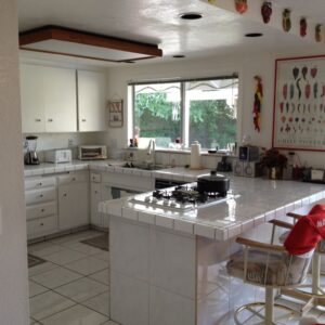 care-ayesha-4-kitchen.jpg