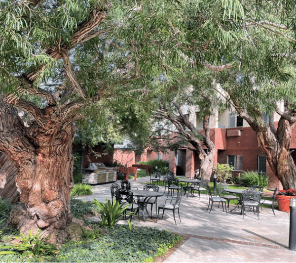 carmel-village-retirement-community-patio.png