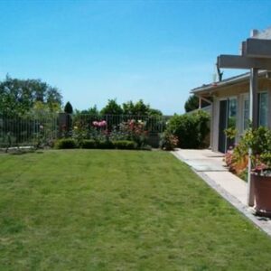 casa-bella-yard-2.jpg
