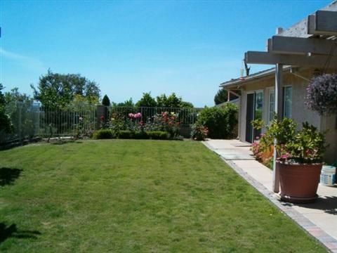 casa-bella-yard-2.jpg