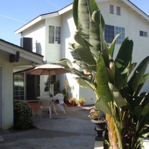 cheri-manor-backyard.jpg