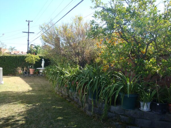 concordia-guest-home-ii-back-yard.jpg