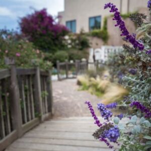crown-cove-walking-path.jpg