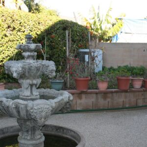 european-loving-care-i-patio-2.jpg