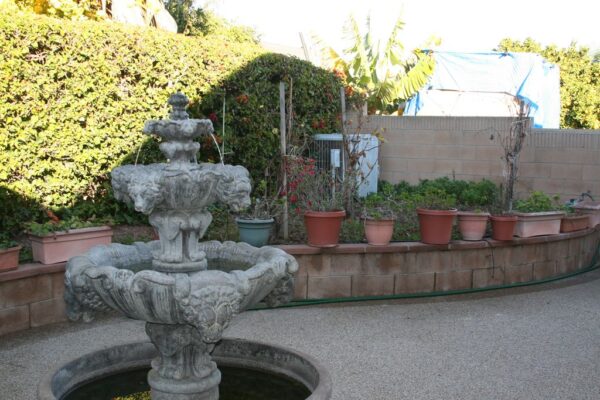 european-loving-care-i-patio-2.jpg