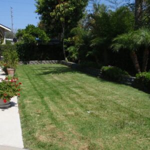 european-retirement-living-llc-i-6-backyard.jpg