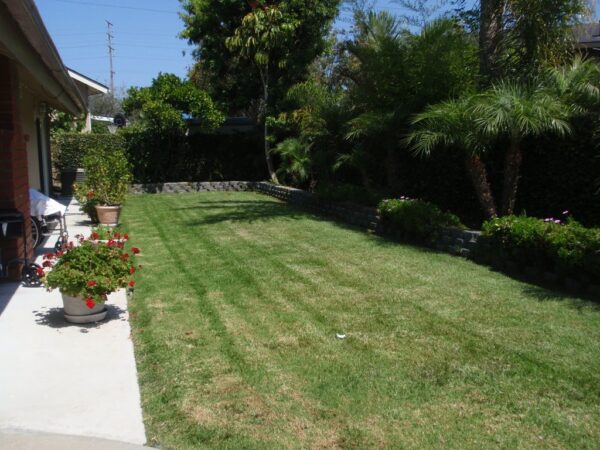 european-retirement-living-llc-i-6-backyard.jpg