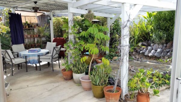 evergreen-adult-home-care-at-tustin-6-patio.jpg