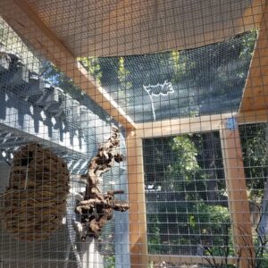 family-care-buckboard-home-finches.jpg