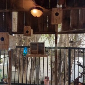 family-care-el-mar-home-bird-atrium.jpg