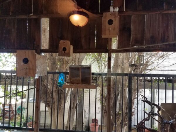 family-care-el-mar-home-bird-atrium.jpg