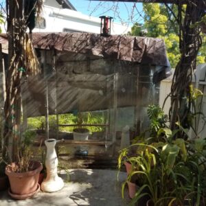 family-care-pepita-home-bird-atrium.jpg