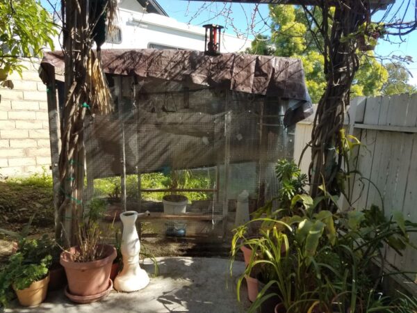 family-care-pepita-home-bird-atrium.jpg