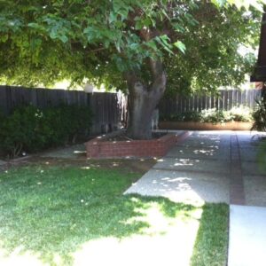 genesis-elderly-care-i-yard.jpg