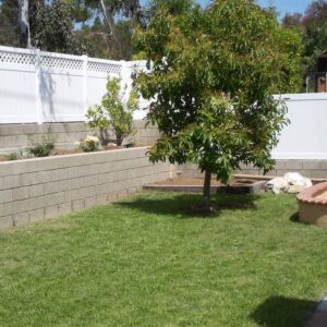 gentle-serenity-back-yard-2.jpg