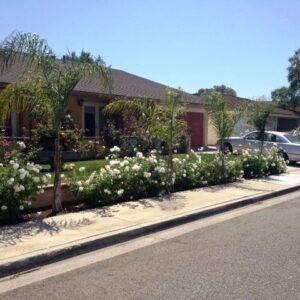 golden-years-residential-care-1-front-view.jpg