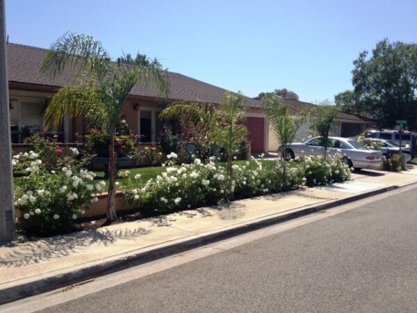 golden-years-residential-care-1-front-view.jpg