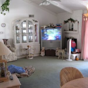 good-mornings-home-care-4-tv-room.jpg