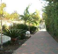 good-mornings-home-care-walkway.jpg