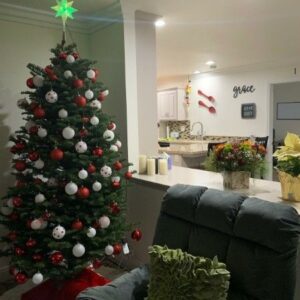grace-hills-home-care-3-living-room.jpg