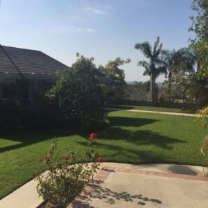 grace-senior-solutions-i-back-yard.jpg