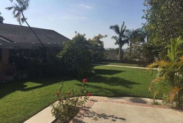 grace-senior-solutions-i-back-yard.jpg