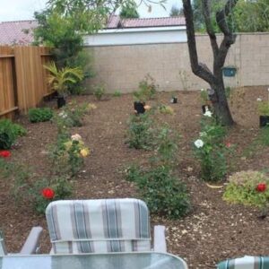 grannys-place-xi-6-rose-garden.jpg