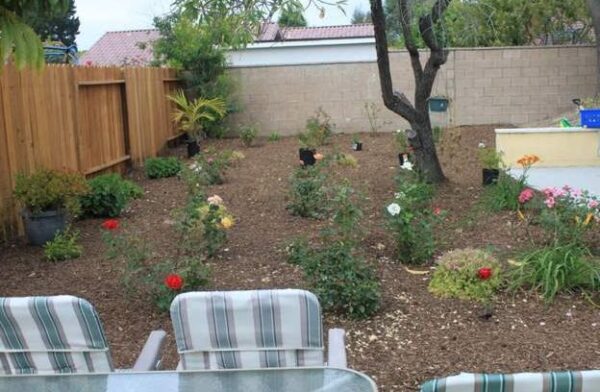 grannys-place-xi-6-rose-garden.jpg