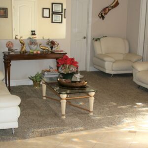 infinity-home-care-3-living-room.jpg