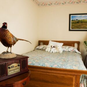 irvine-cottage-4-5-private-room-2.jpg