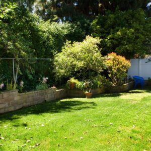 irvine-cottage-6-5-back-yard.jpg