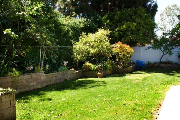 irvine-cottage-6-5-back-yard.jpg