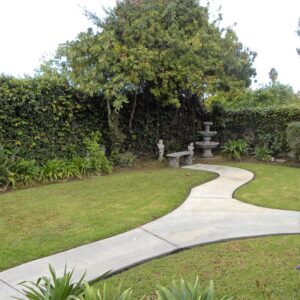 ivy-cottages-ii-backyard-3.jpg
