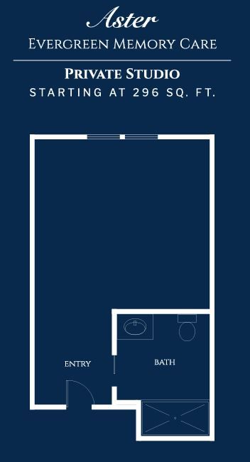 ivy-park-at-bradford-13-mc-floor-plan-studio-aster.jpg